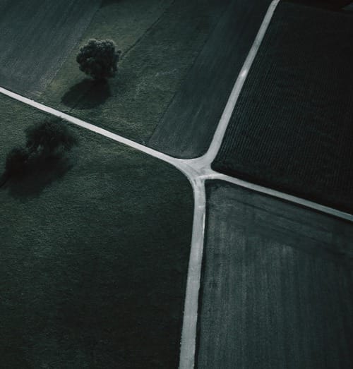 bird's eye view photo of green trees